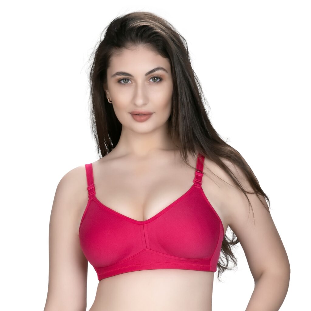 Riza Minimizer Bra Rasberry